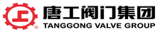 Tanggong Valve logo_white_bg_225x45