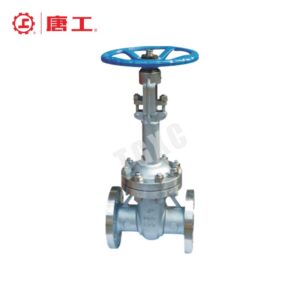 Cryogenic Gate Valve