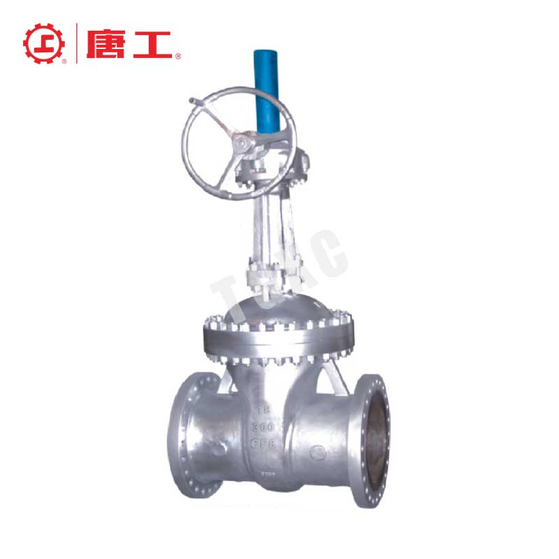 American Standard Cast Steel Gate Valve