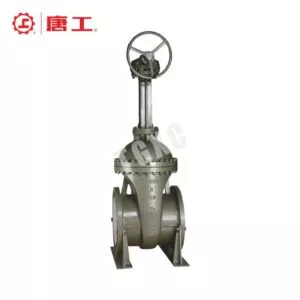 National Standard Cast Steel Gate Valve