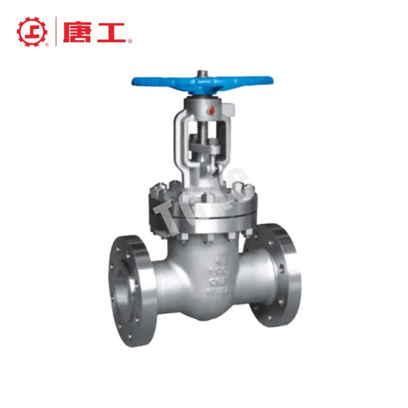 Stainless Steel Flanged Gate Valve