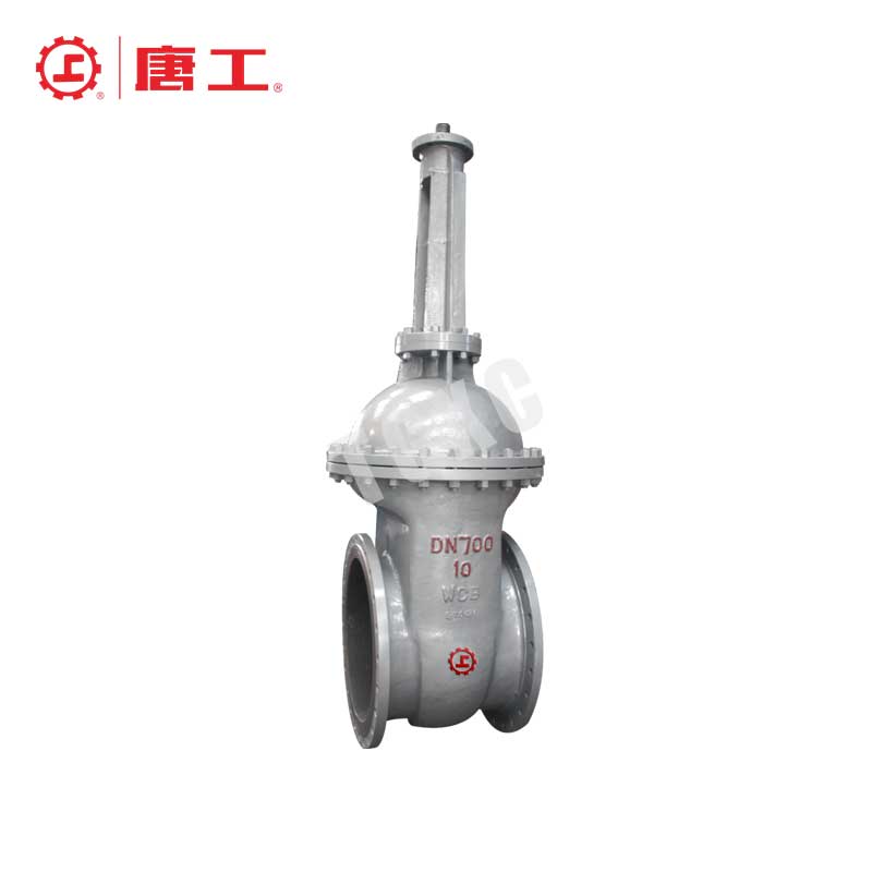 Wedge Gate Valve