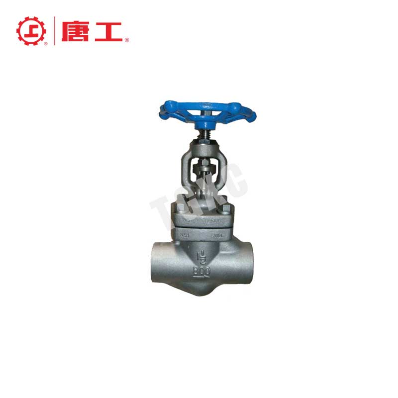 Forged Steel Globe Valve