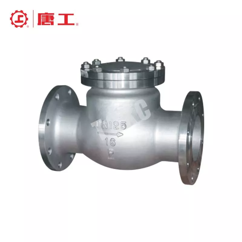 National Standard Swing Check Valve