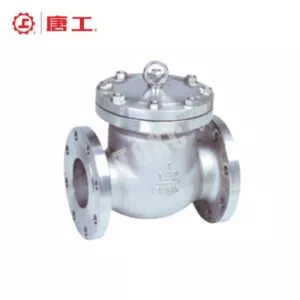 American Standard Swing Check Valve