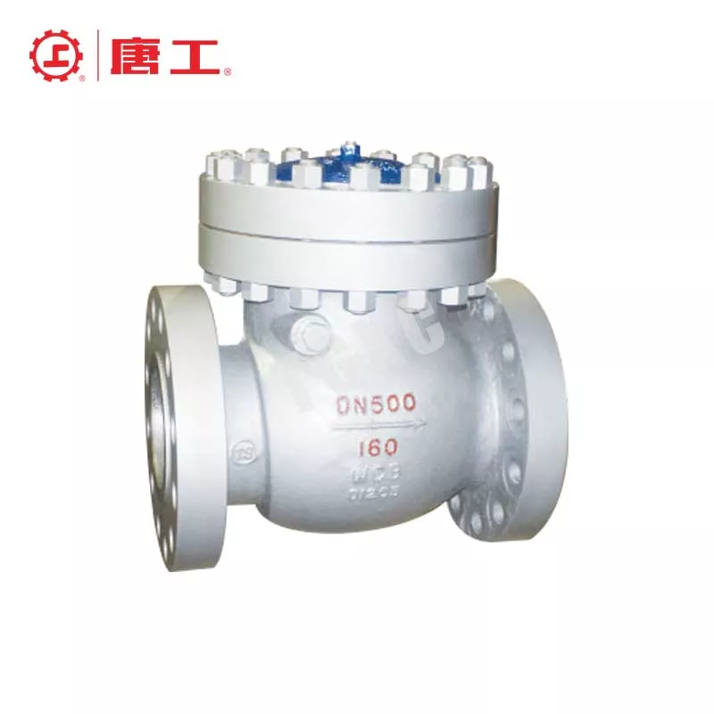 National Standard High-Pressure Swing Check Valve