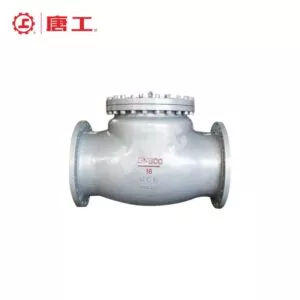 National Standard Check Valve