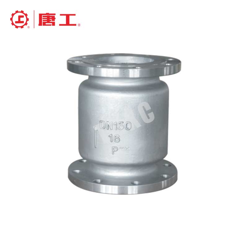 National Standard Vertical Check Valve