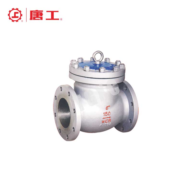 American Standard Check Valve