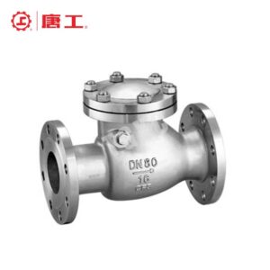 National Standard Swing Check Valve