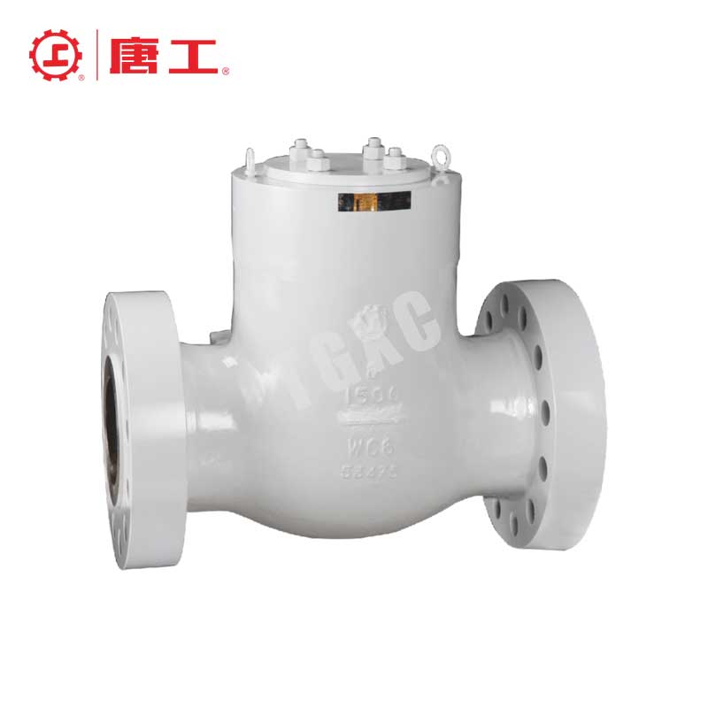 American Standard Large Diameter Check Valve