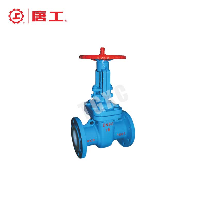 Fluorine-Lined Gate Valve