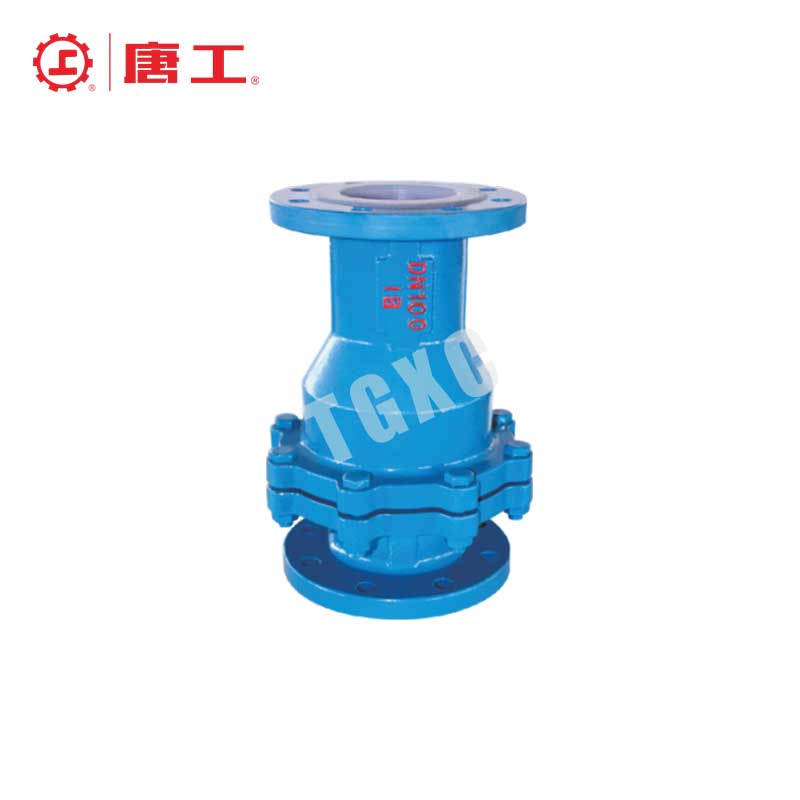 Fluorine-Lined Swing Check Valve
