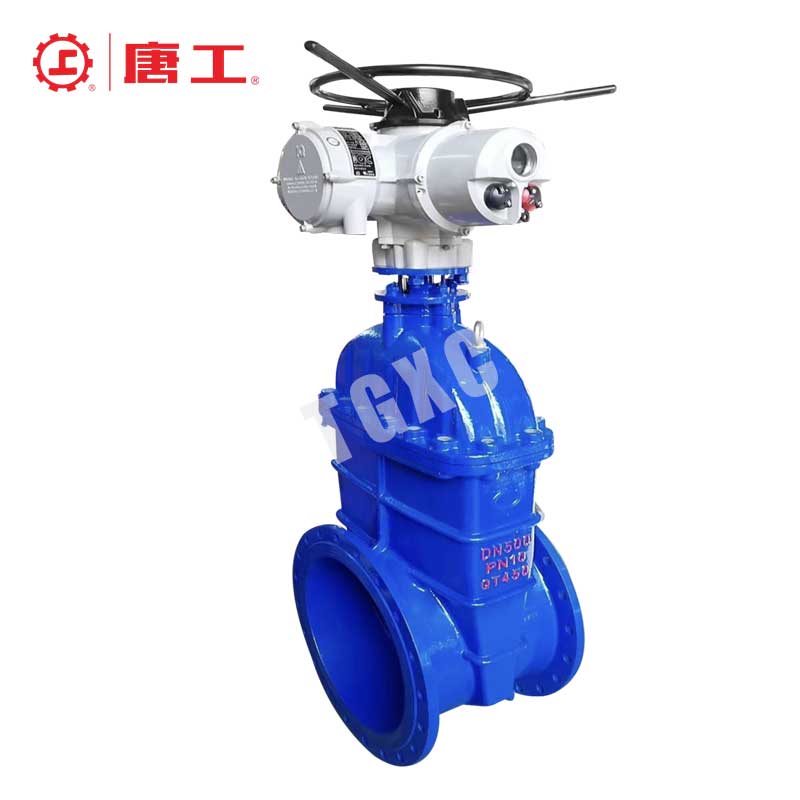 Electric soft seal flange gate valve