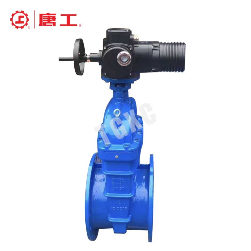 Motor-Operated Soft Seal Flange Gate Valve