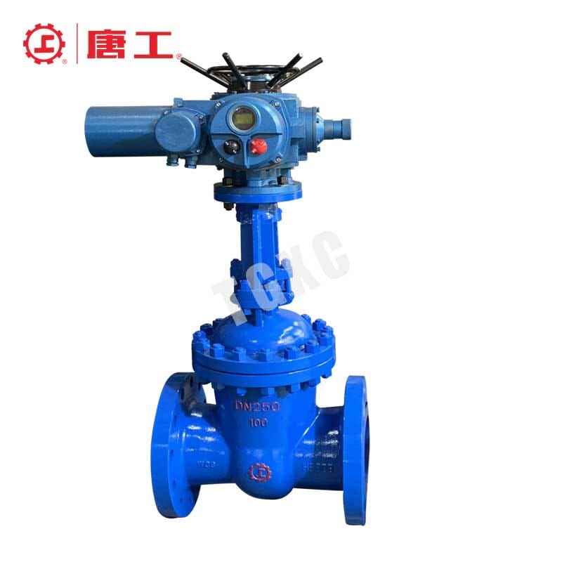 Motor-Operated Flange Gate Valve