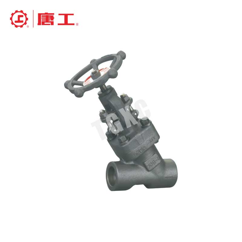 Y-Type Globe Valve