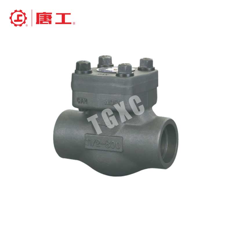 A105N Socket Weld Check Valve