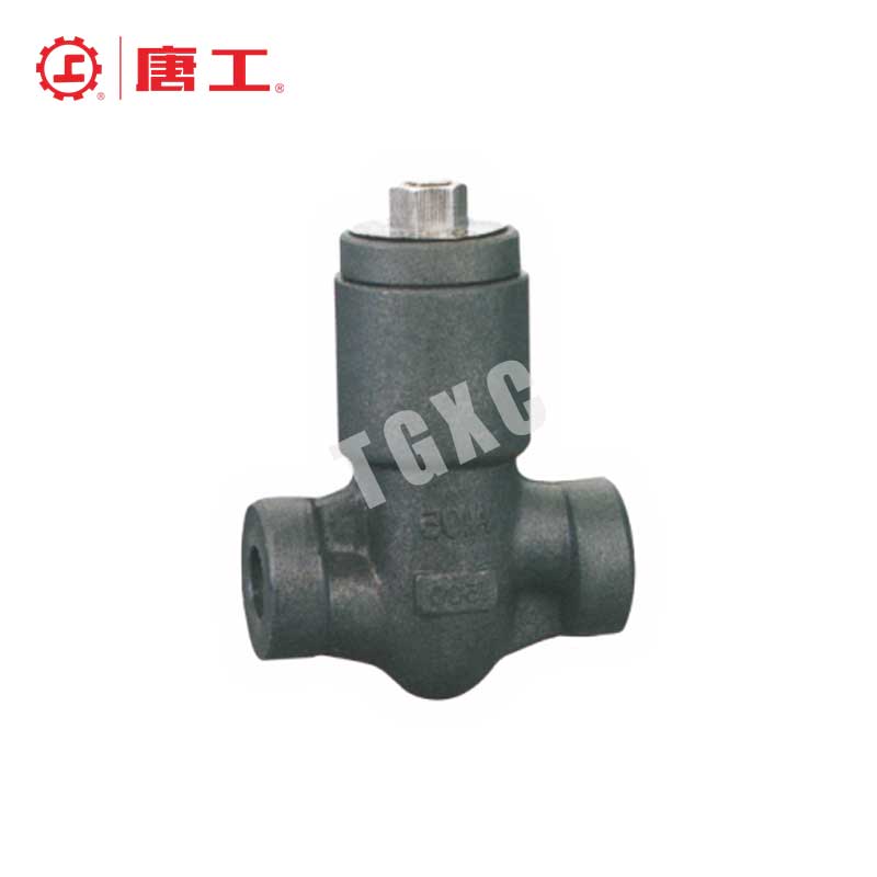 Self-Sealing Check Valve