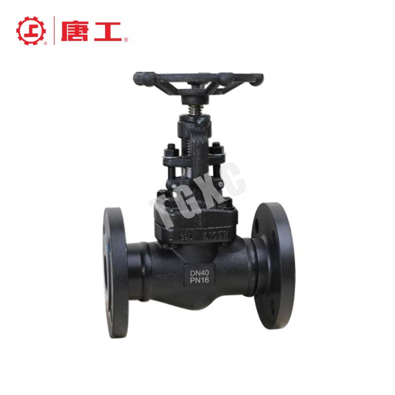 Flanged Globe Valve
