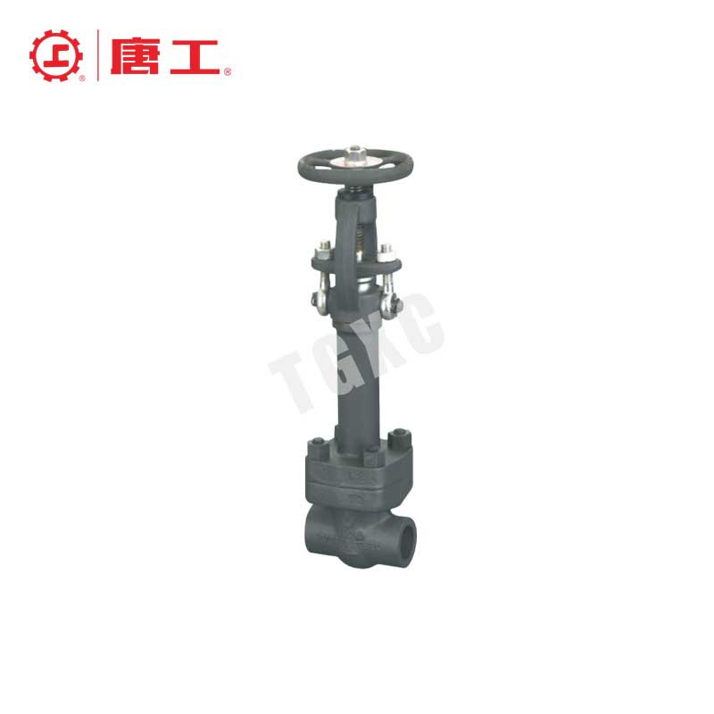 Extended Stem Gate Valve