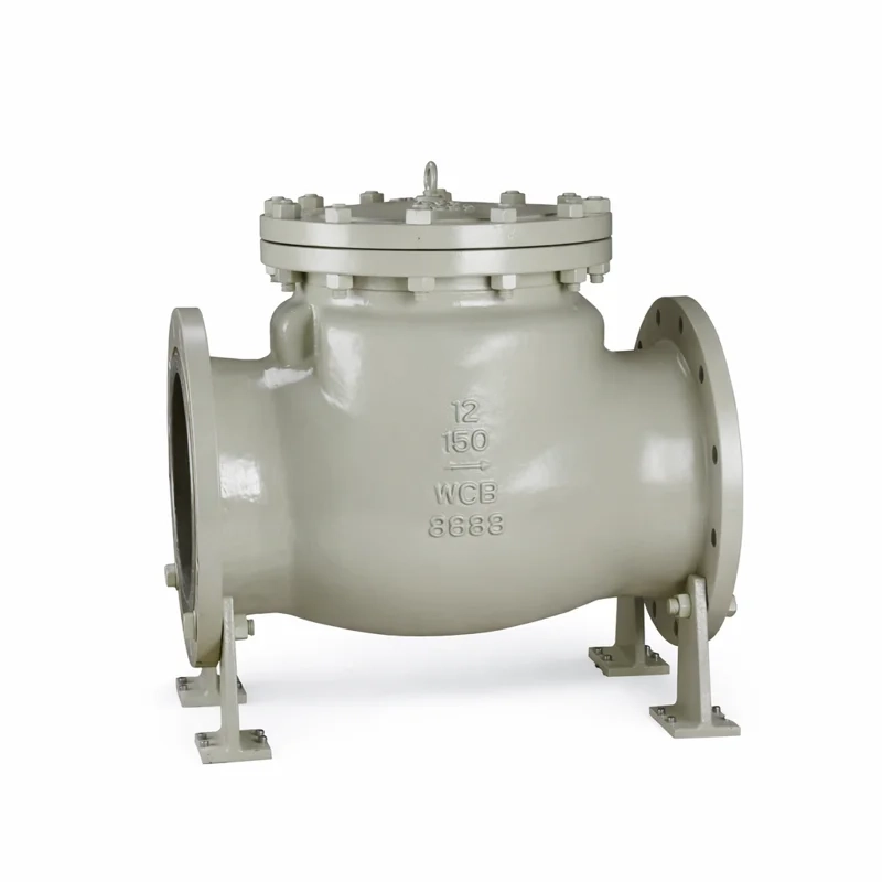 7 Large Diameter Check Valve
