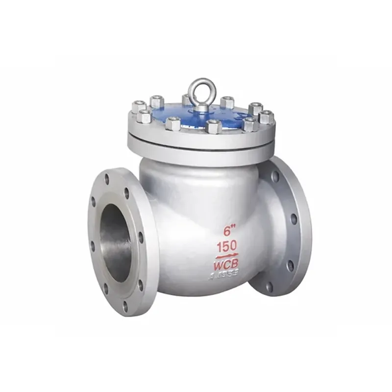 American standard check valve