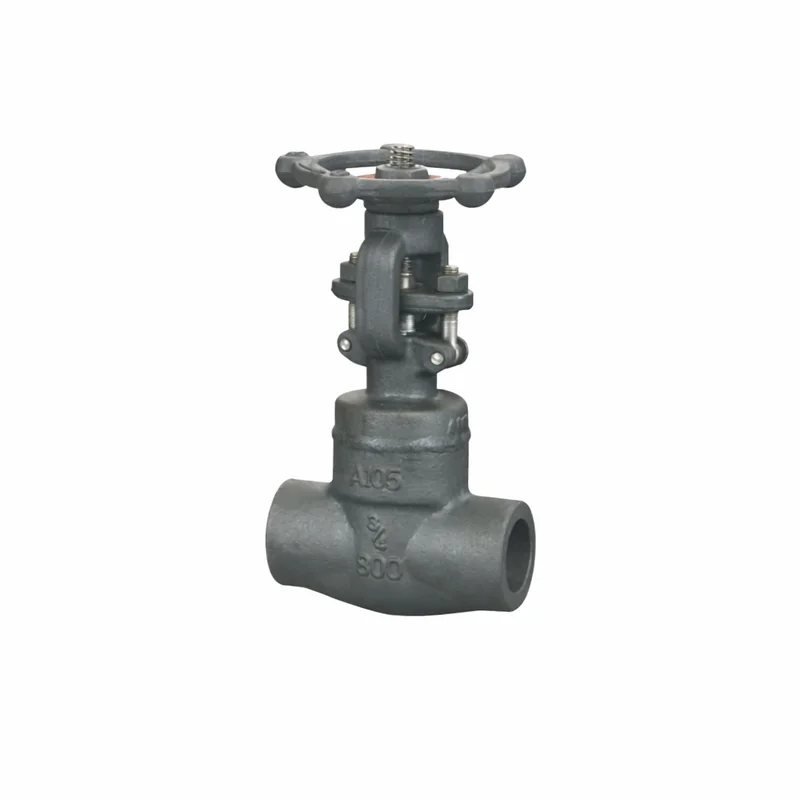 Forged Steel Gate Valve (Socket Weld)