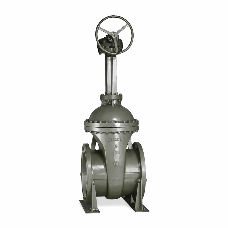 National Standard Cast Steel Gate Valve1