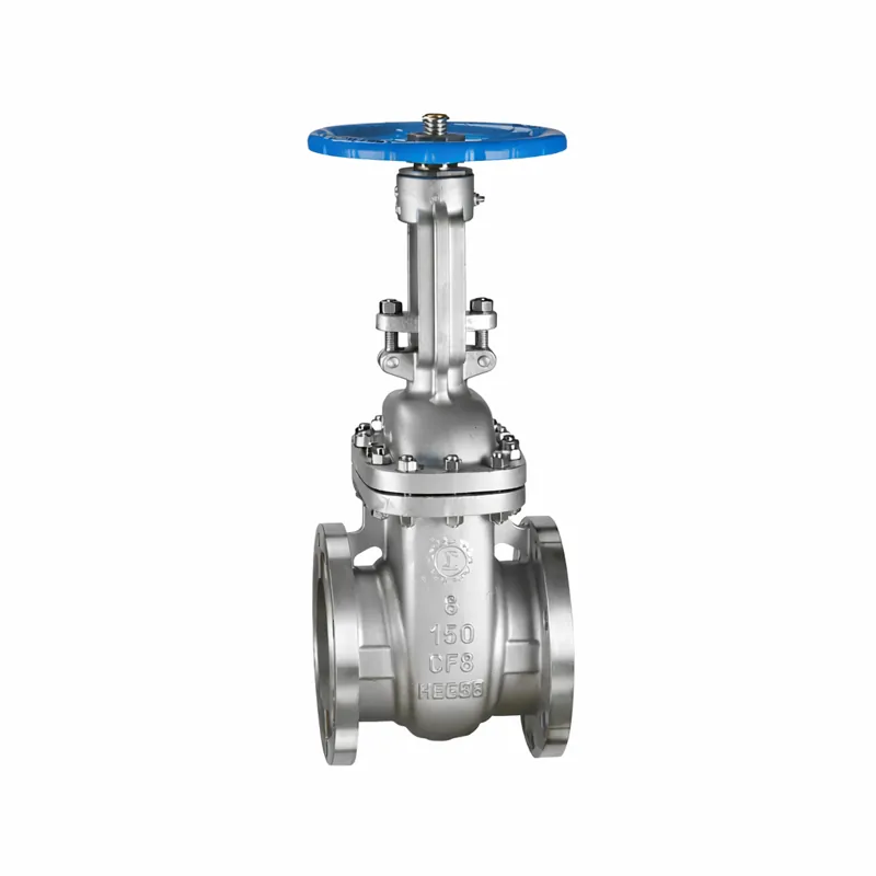 Stainless Steel Flanged Gate Valve