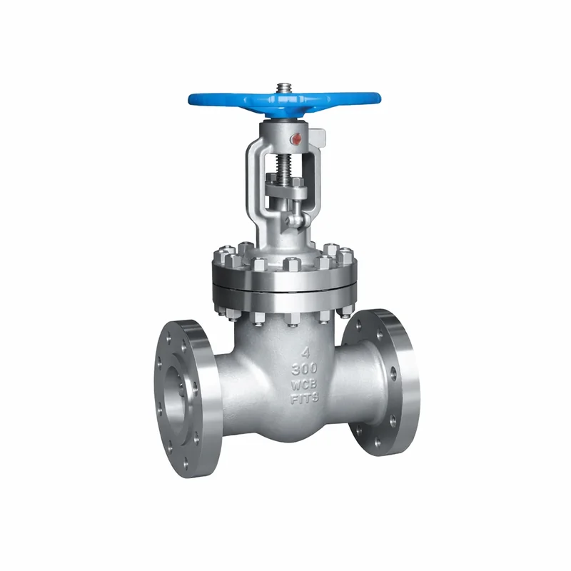 Stainless Steel Flanged Gate Valve1