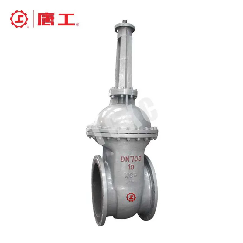 Wedge Gate Valve1