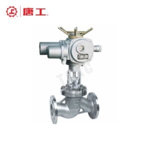Electric-Globe-Valve