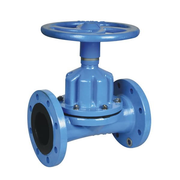 Globe Valve vs Diaphragm Valve