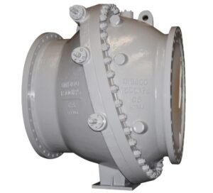 RECOIL-CHECK-VALVE