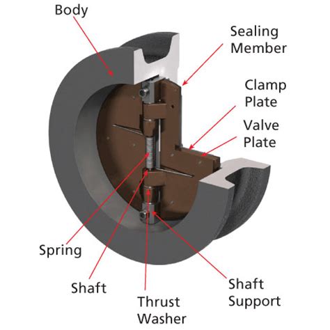 Dual-Plate-Wafer-Check-Valve
