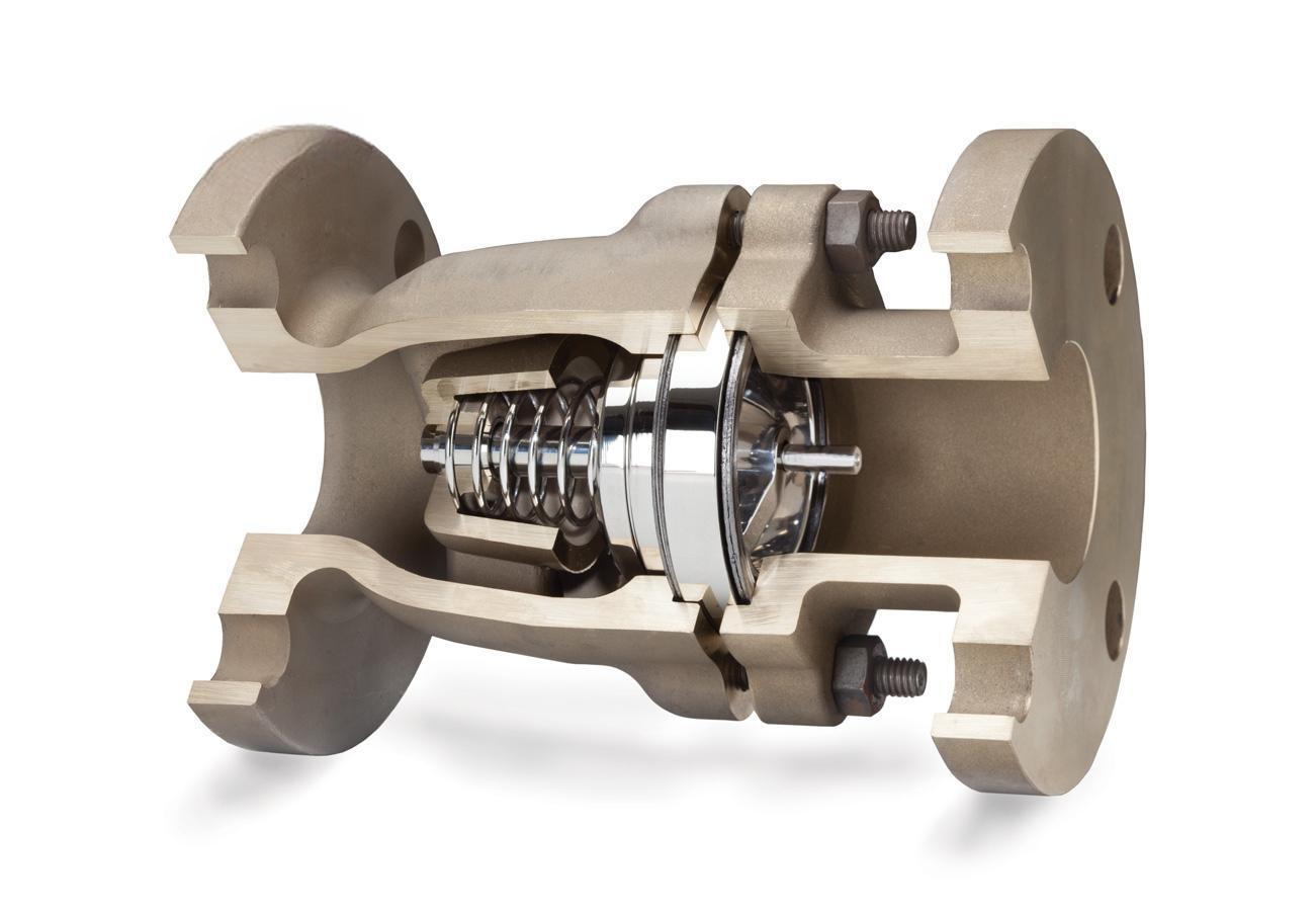 Silent-Check-Valves