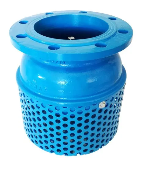 Foot Valve