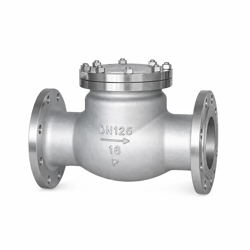 6 Swing Check Valve