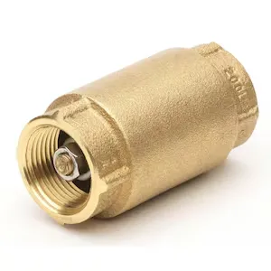 Brass Spring Check Valve