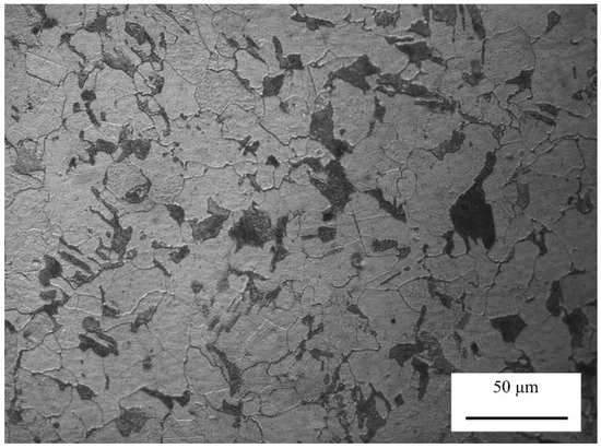 Hydrogen Induced Cracking (HIC)