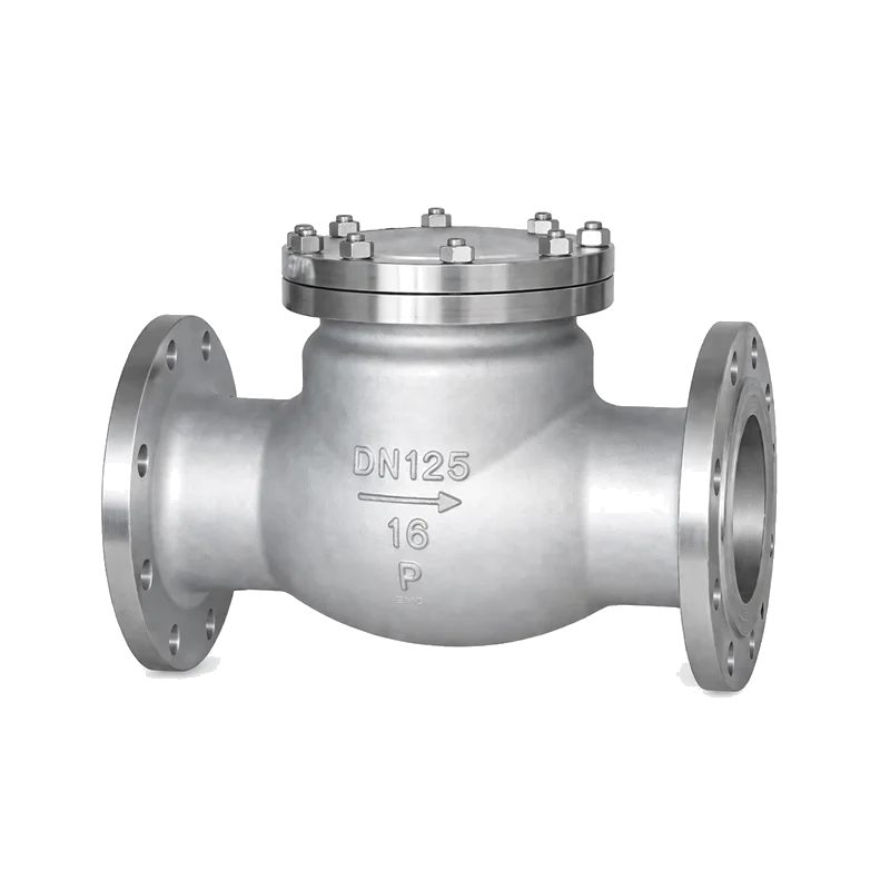 Check Valve Series for backflow prevention
