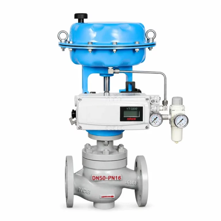 HTS Top-Guide Single-Seated Control Valve