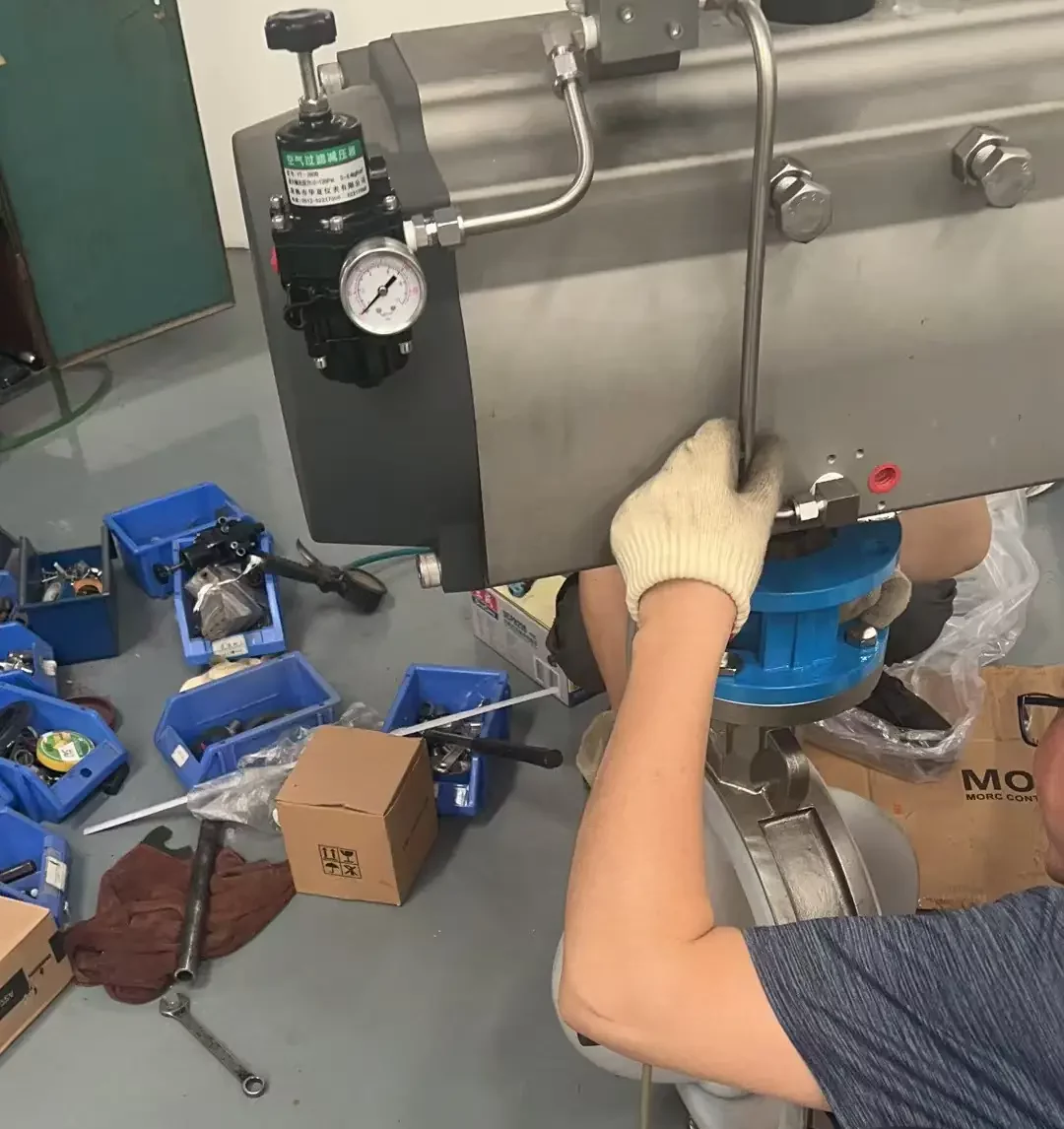 Valve actuator and instrument tubing assembly