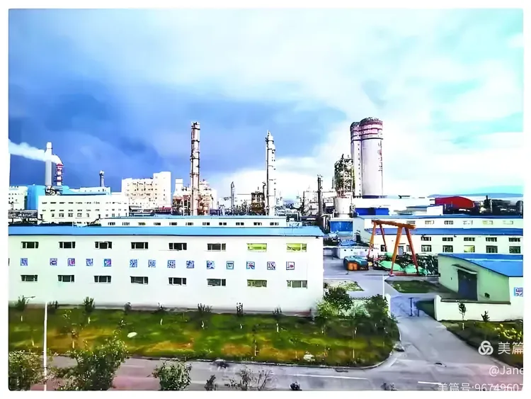 Chemical plant with process towers, production buildings and utility areas