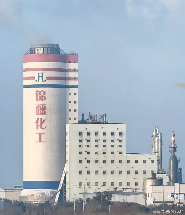 Jinjiang Chemical production buildings and processing equipment